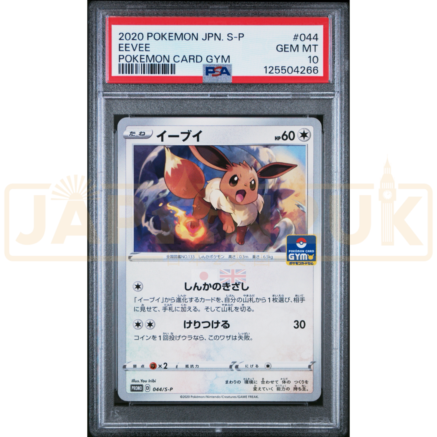 Pokemon Eevee Non Holo Gym Promo Card Pack 2 Promo 044/S-P Japanese Graded Card PSA 10 #125504266
