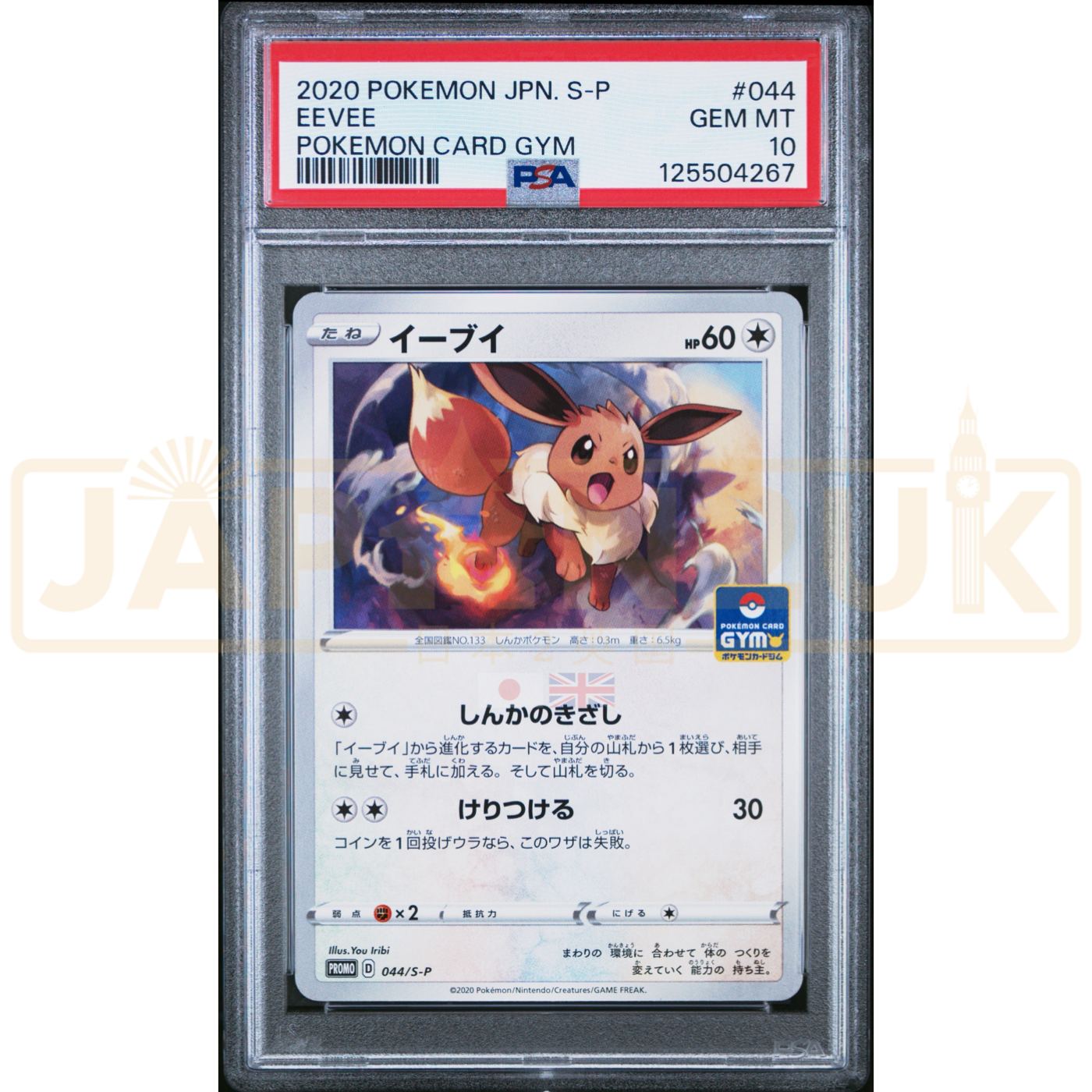 Pokemon Eevee Non Holo Gym Promo Card Pack 2 Promo 044/S-P Japanese Graded Card PSA 10 #125504267