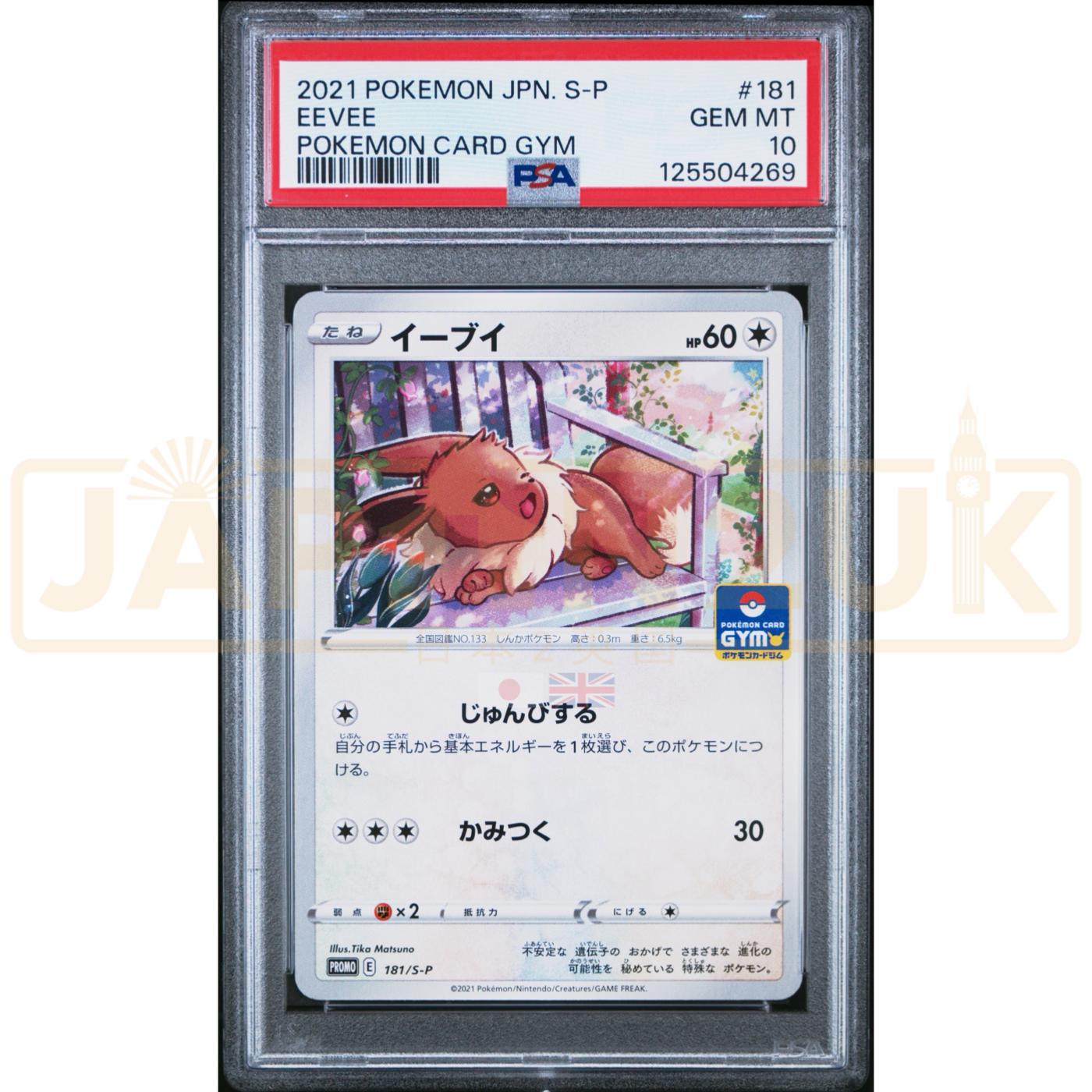Pokemon Eevee Non Holo Gym Promo Card Pack 6 Promo 181/S-P Japanese Graded Card PSA 10 #125504269