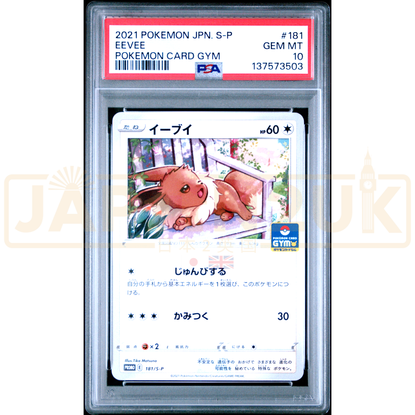 Pokemon Eevee Gym Promo Card Pack 6 Promo 181/S-P Japanese Graded Card PSA 10 #137573503