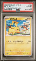 PSA 10 - 2023 POKEMON JAPANESE SV-P PROMO #120 PIKACHU GYM EVENT CAMPAIGN