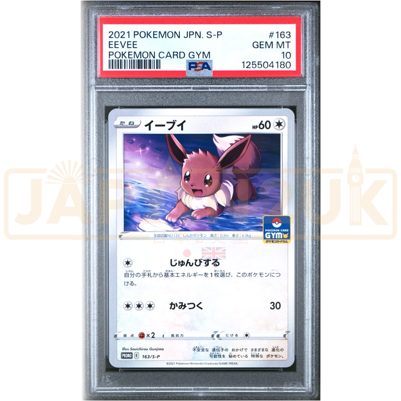 Pokemon Eevee Non Holo Gym Promo Card Pack 5 Promo 163/S-P Japanese Graded Card PSA 10 #125504180