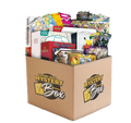 Luxury Ball Pokemon Mystery Box